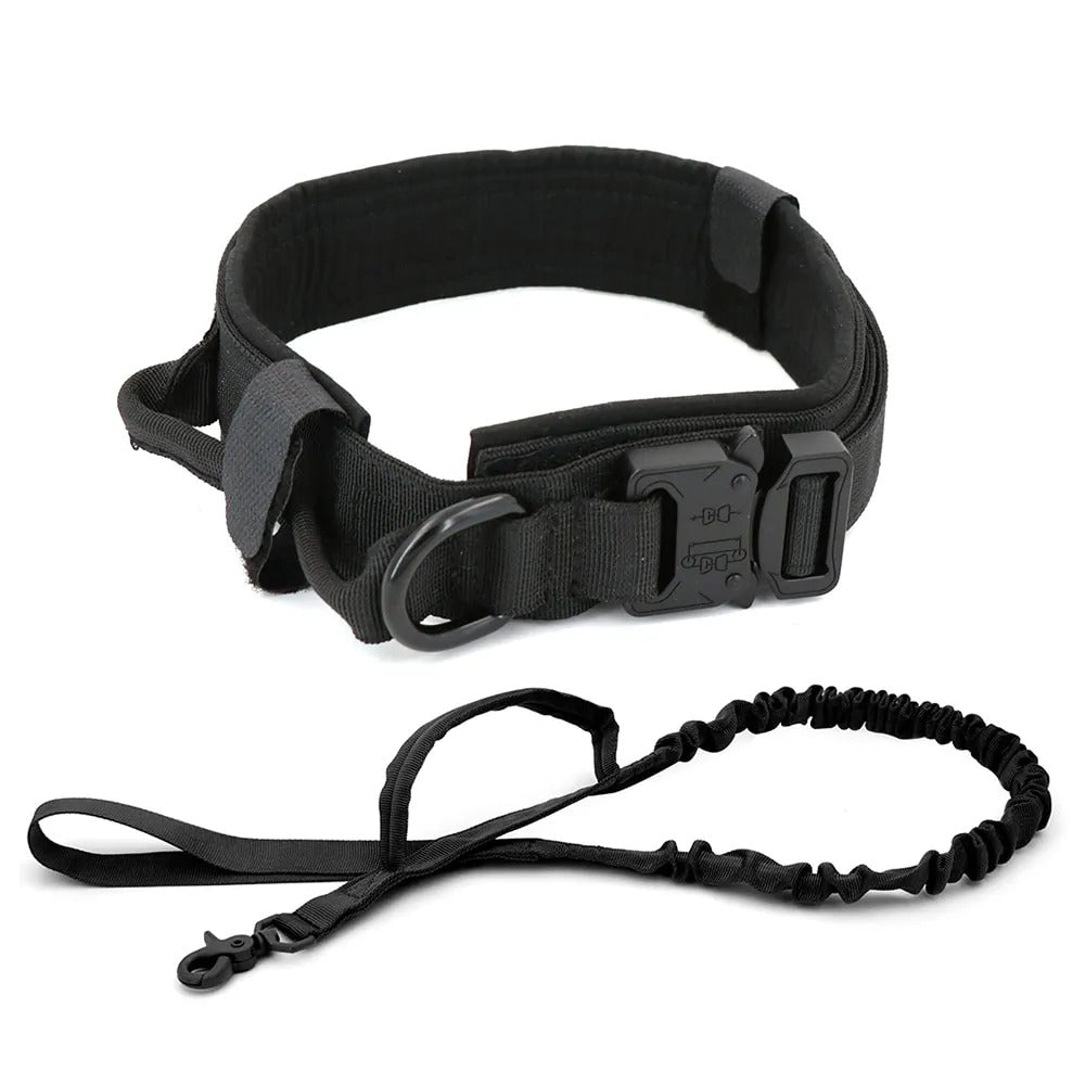 Dog Collar Dog Collar